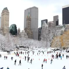 people skating on an ice rink in the city