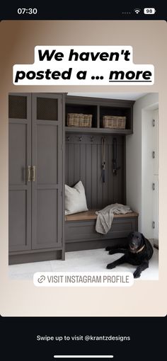 a dog is laying on the floor in front of a bookcase with an ad for instagram