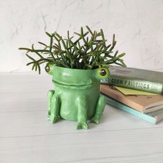 a green frog planter sitting on top of a table next to two books and a potted plant