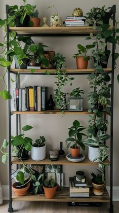 a shelf filled with lots of potted plants next to a wall mounted bookcase