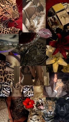 a collage of photos with leopards, flowers and other animal related items in them