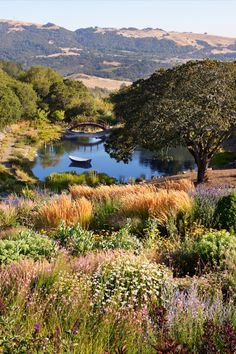 a lake surrounded by lots of trees and flowers in the middle of a field with mountains in the background