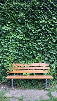 a wooden bench sitting in front of a wall covered with green plants and ivys