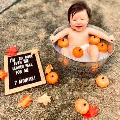 a baby sitting in a bucket with pumpkins around it and a sign that says i'm so cute leave the leaves fall for me 7 months