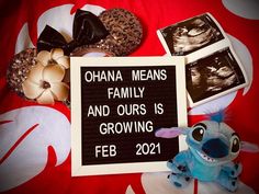 a sign that says obama means family and ourss is growing feb 20, 2012