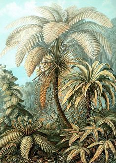 an image of a painting of trees and plants