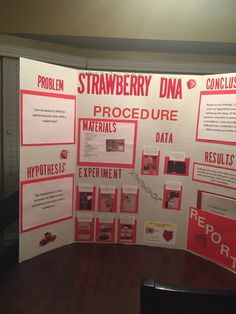 a table with a poster on it that says strawberry dna procedure materials and instructions