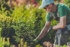 a man is working in the garden with his hands on plants and looking at them