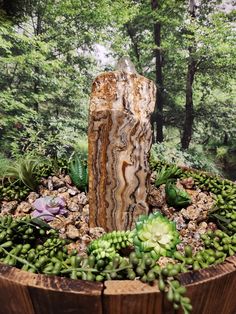 a tree stump surrounded by succulents and rocks