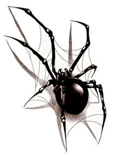 a black and white drawing of a spider