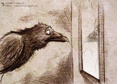 a drawing of a bird looking at itself in the mirror