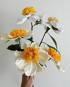 a hand holding a bunch of flowers with yellow and white petals in it's center