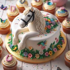 there is a cake with a horse on it and many cupcakes around it