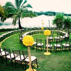 an outdoor ceremony set up with chairs and yellow flowers in the center, surrounded by palm trees