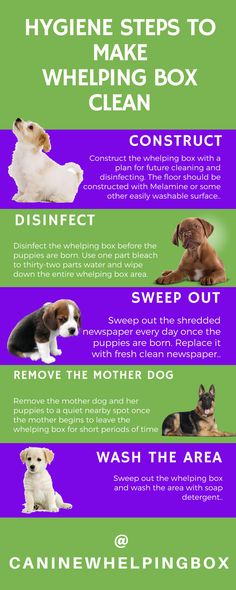 four different types of dogs with their names