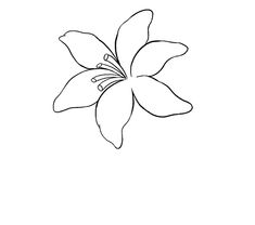 a drawing of a flower on a white background with blue lines in the bottom corner