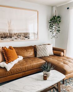 a living room with a couch, coffee table and potted plant in the corner