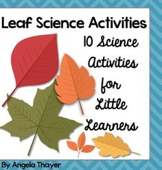 leaf science activities for little learners