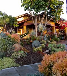 an image of a house with lots of plants in the front yard and landscaping around it