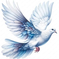 a white bird with blue wings flying through the air