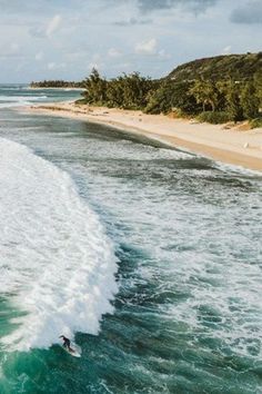 a man riding a surfboard on top of a wave next to the beach in front of palm trees