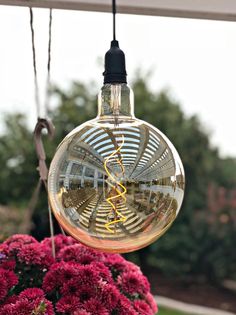 a light bulb hanging from a ceiling with flowers in the foreground and trees in the background