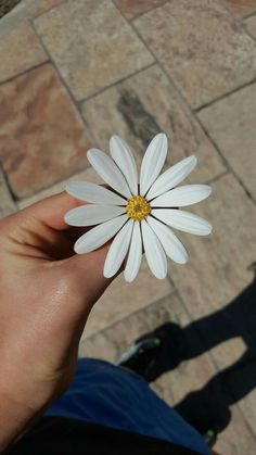 a hand holding a small white flower on top of a stone floor next to a person