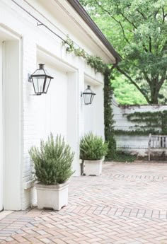 two potted plants sitting on the side of a brick walkway next to a white building