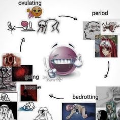 an image of a cartoon character's life cycle