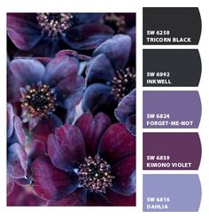 some purple flowers are in the middle of color swatches for different colors and textures