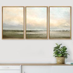 three paintings hanging on the wall above a white dresser with a potted plant next to it