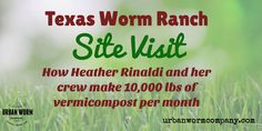 a close up of grass with the words, texas worm ranch site visit