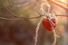 a red heart hanging from a tree branch