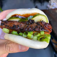 a hand holding a sandwich with meat, vegetables and sauce on it's bun