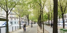 two people riding bicycles down a tree lined sidewalk in the middle of an urban area