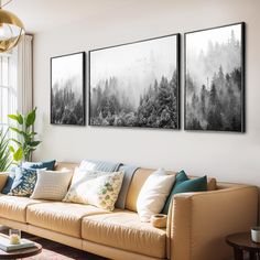 three black and white pictures hang on the wall above a couch in a living room