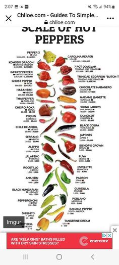 the scoville scale of hot peppers is shown in this graphic above it's caption