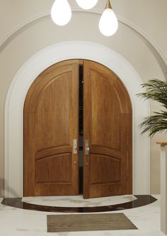 an arched wooden door with two lights above it and a potted plant on the floor