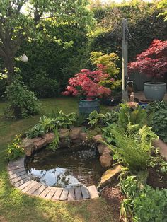 a small pond in the middle of a garden