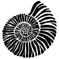 a black and white image of a shell on a white background with the word,