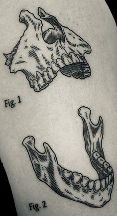 a tattoo with three different types of teeth