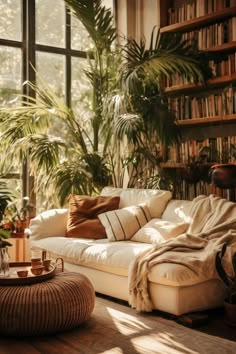 a living room filled with lots of furniture and plants on the windows sills