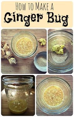 how to make a ginger bug recipe in a mason jar with instructions for making it