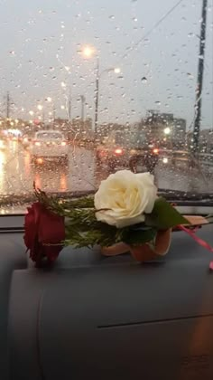 a white rose sitting on the dashboard of a car with rain drops falling off it