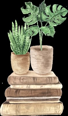 two potted plants sitting on top of books