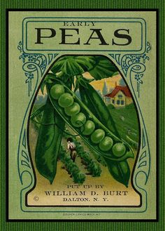 an advertisement for peas from the early 1900's, with green beans on it