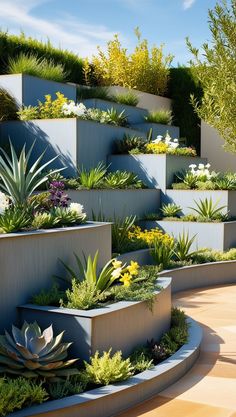 an outdoor garden with many planters and plants growing on the side of each wall