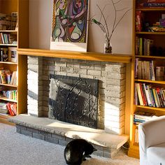 a cat laying on the floor in front of a fire place with bookshelves