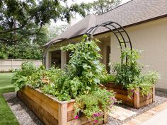 an outdoor garden area with various plants and flowers in wooden planters on the side of a house