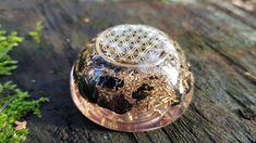 a small glass object sitting on top of a wooden table next to some green plants